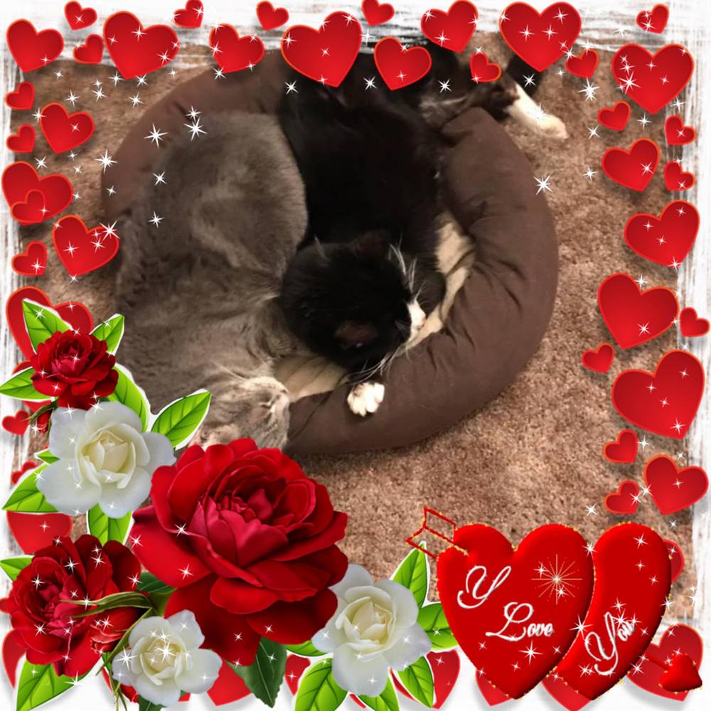 Meet your Posher, Margo